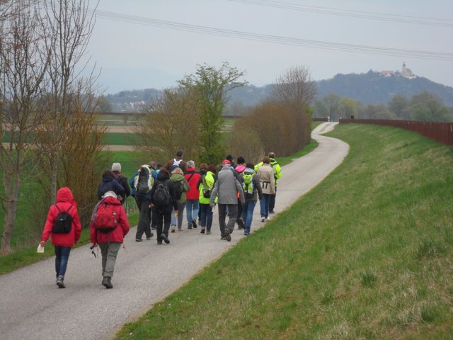 Pilgerweg Bogenberg 2016 16